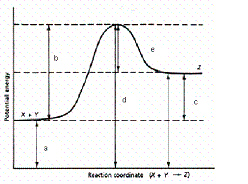 grp001-1.jpg