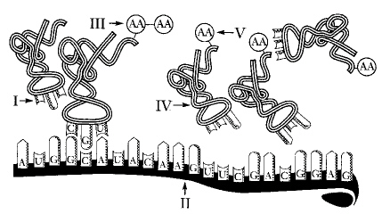 prep_test_protein_s_files/i0140000.jpg