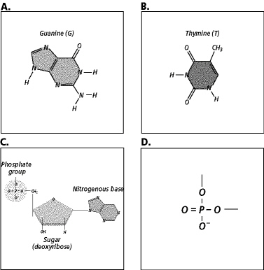 prep_test_protein_s_files/i0160000.jpg