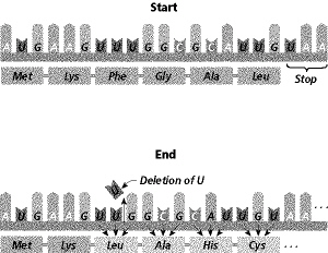 prep_test_protein_s_files/i0200000.jpg