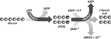 unit_2_online_study_files/i0110000.jpg