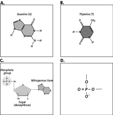 dna_and_prot_synthe_files/i0160000.jpg