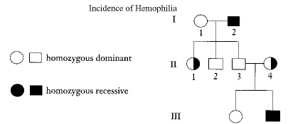 unit_three_genetics_files/i0230000.jpg